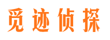 高平出轨调查